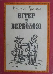 Кеннет Грехем - Вітер у верболозі