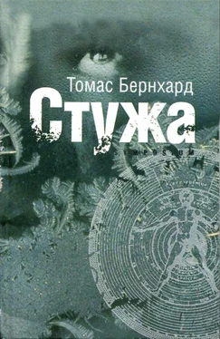 Томас Бернхард Стужа обложка книги