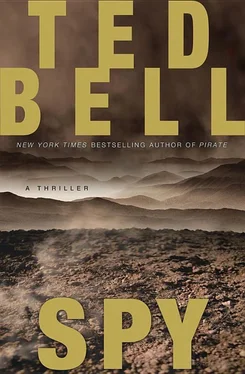 Ted Bell Spy обложка книги