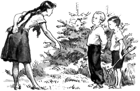 От такой несправедливости у Васи готовы были слёзы брызнуть Он покосился на - фото 24