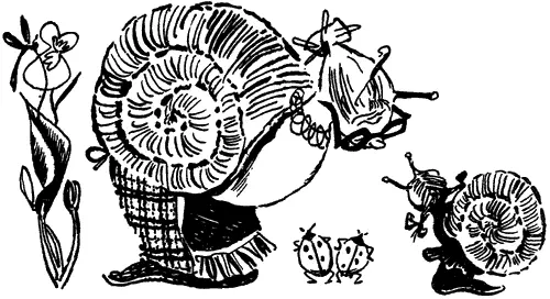 Дело было весной Говорит улитка своей дочке Прогуляйся до чёрного кустика - фото 8