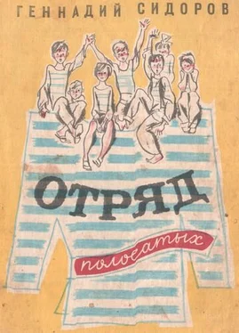 Геннадий Сидоров Отряд полосатых обложка книги