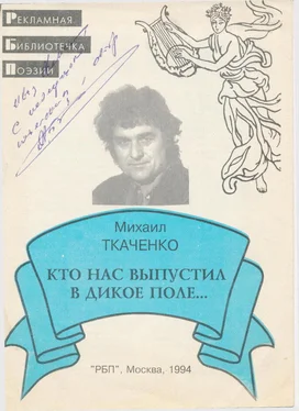 Михаил Ткаченко Кто нас выпустил в дикое поле... обложка книги