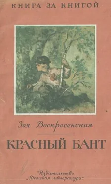 Зоя Воскресенская Розовый Бант обложка книги