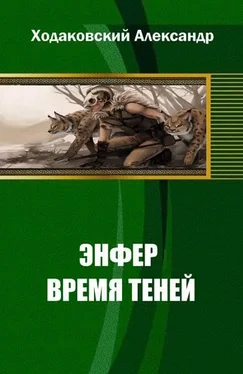 Александр Ходаковский Энфер. Время Теней обложка книги