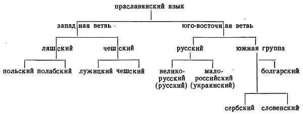 Однако вскоре вместо деления общеславянского языка на две ветви вновь было - фото 4