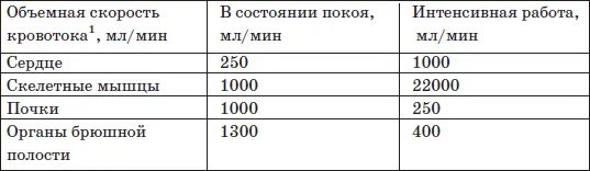 Рис 33 Эффект перераспределения крови при интенсивной работе на выносливость - фото 47