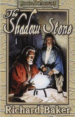 Richard Baker The Shadow Stone обложка книги