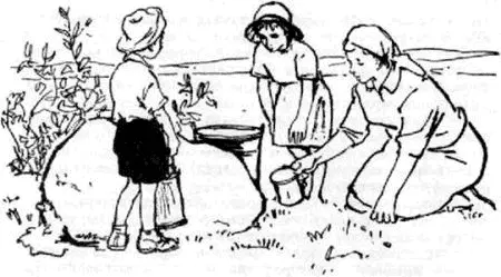 Тимка пожалел что пошел к роднику Лучше бы остаться с отцом в вагончике - фото 12