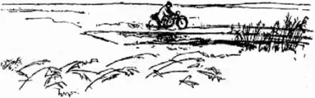 К машине подбежал шофёр Прежде чем сесть в кабину он долго откашливался и тёр - фото 15