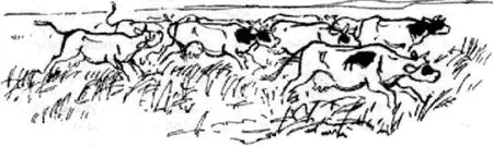 К машине подбежал шофёр Прежде чем сесть в кабину он долго откашливался и тёр - фото 16