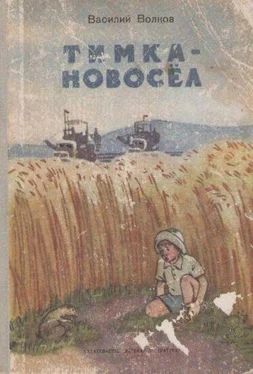 Василий Волков Тимка-новосёл обложка книги