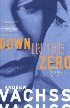 Andrew Vachss Down in the Zero