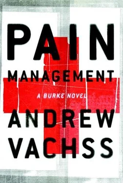 Andrew Vachss Pain Management обложка книги