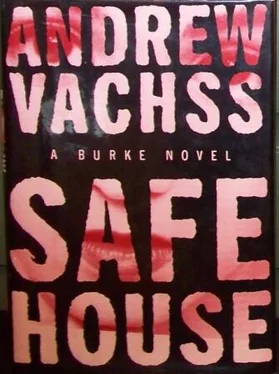 Andrew Vachss Safe House обложка книги