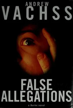 Andrew Vachss False Allegations обложка книги