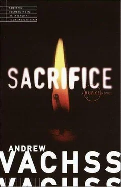 Andrew Vachss Sacrifice обложка книги