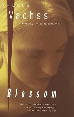 Andrew Vachss Blossom обложка книги