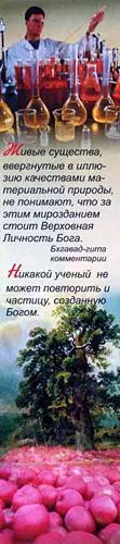 Живые существа ввергнутые в иллюзию качествами материальной природы не - фото 20