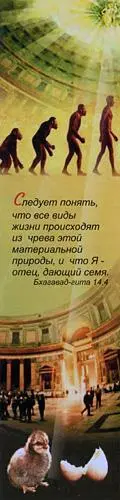 Следует понять что все виды жизни происходят из чрева этой материальной - фото 21
