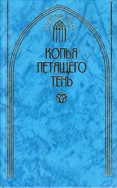 Иван Панкеев Копья летящего тень обложка книги