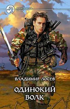 Владимир Лосев Одинокий волк обложка книги