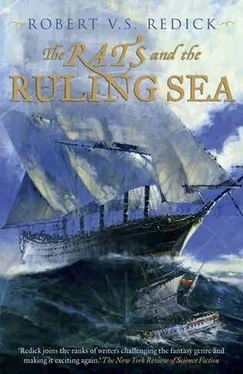 Robert Redick The Rats and the Ruling sea обложка книги