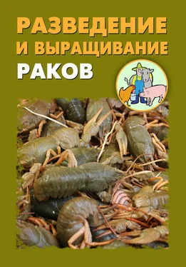 Илья Мельников Разведение и выращивание раков обложка книги