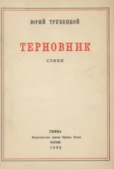 Юрий Трубецкой - «Под этим небо черной неизбежности…»