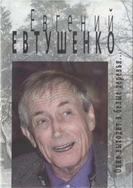 Евгений Евтушенко Окно выходит в белые деревья... обложка книги