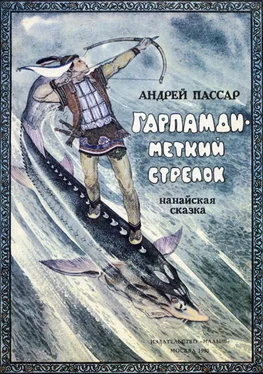 Андрей Пассар Гарпамди – меткий стрелок обложка книги