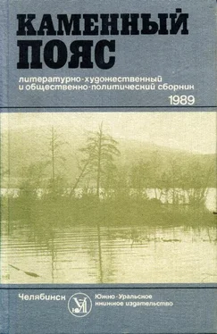 Александра Гальбина Каменный пояс, 1989 обложка книги