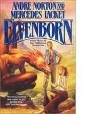 Mercedes Lackey Elvenborn обложка книги