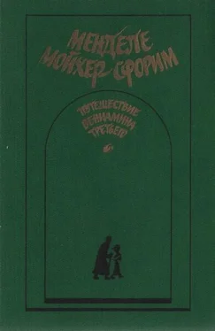 Менделе Мойхер-Сфорим Путешествие Вениамина Третьего обложка книги