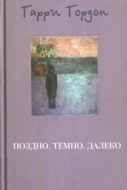 Гарри Гордон Поздно. Темно. Далеко обложка книги