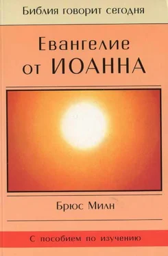 Брюс Милн Евангелие от Иоанна обложка книги