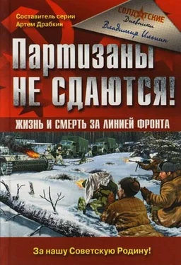 Владимир Ильин Партизаны не сдаются! Жизнь и смерть за линией фронта обложка книги