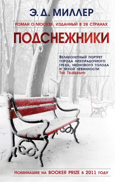 Эндрю Миллер Подснежники обложка книги