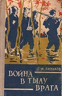Григорий Линьков Война в тылу врага обложка книги