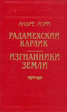 Андре Лори Радамехский карлик обложка книги