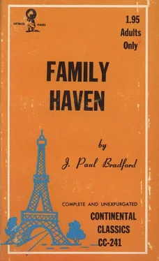 J. Benford The Family Haven обложка книги