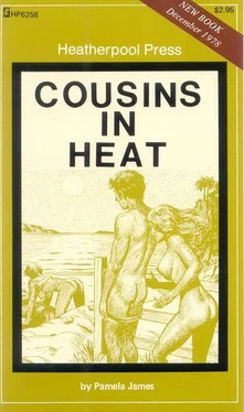 Pamela James Cousins in heat обложка книги