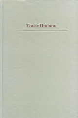 Томас Пинчон - Радуга тяготения