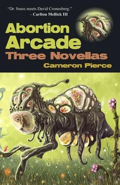 Cameron Pierce Abortion Arcade обложка книги