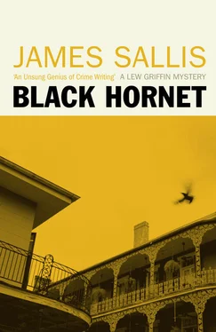 James Sallis Black Hornet обложка книги