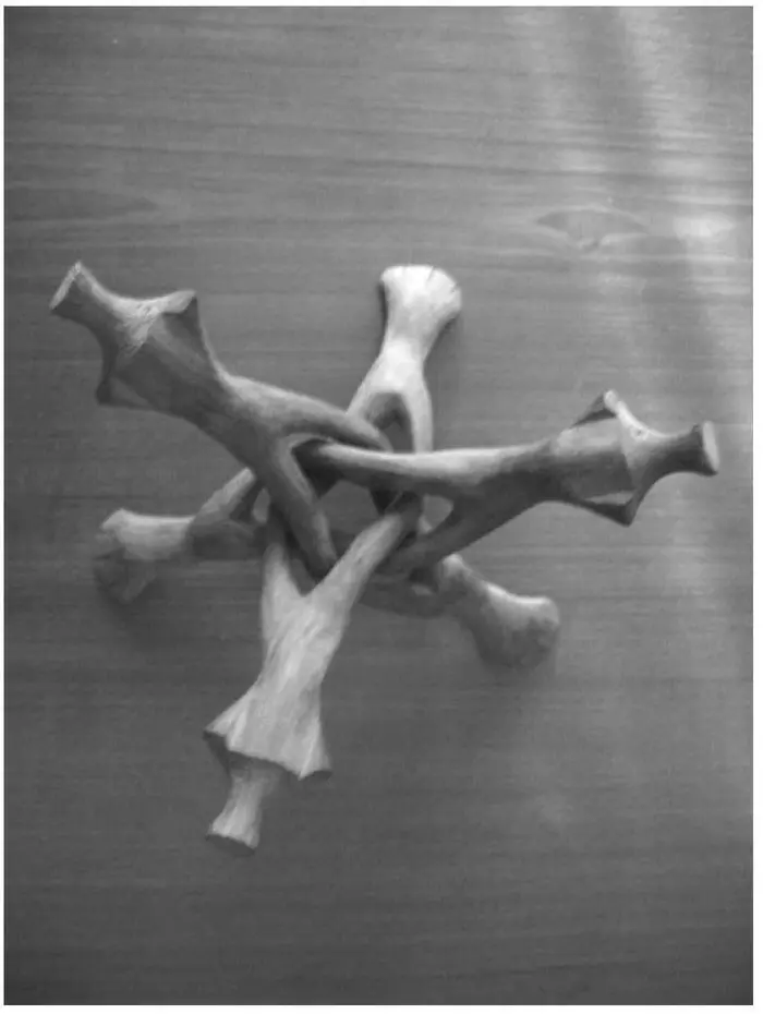 I Am a Strange Loop - изображение 47