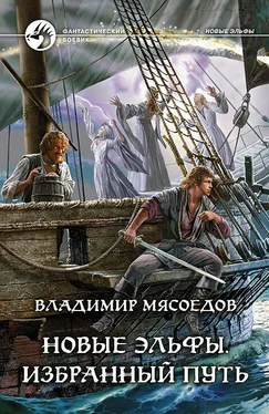 Владимир Мясоедов Новые эльфы. Избранный путь обложка книги