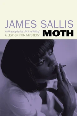 James Sallis Moth обложка книги