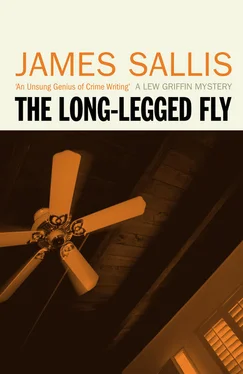 James Sallis The Long-Legged Fly обложка книги