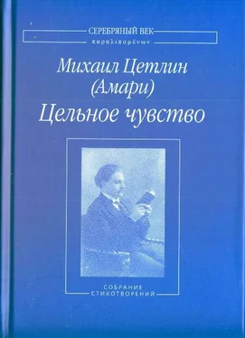 Михаил Цетлин (Амари) Цельное чувство обложка книги